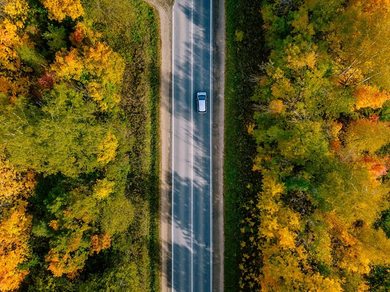 Vista aérea de um carro no meio de uma paisagem com as cores de outono